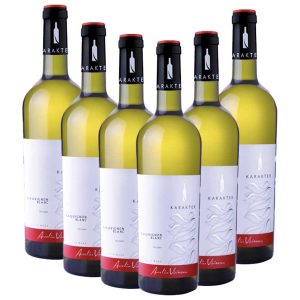Aurelia Visinescu Karakter Sauvignon Blanc 6 Sticle